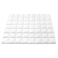 Giselle Bedding Goose Feather and Down Quilt – Double, 800 GSM