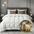 Giselle Bedding 800 GSM Wool Quilt – Queen