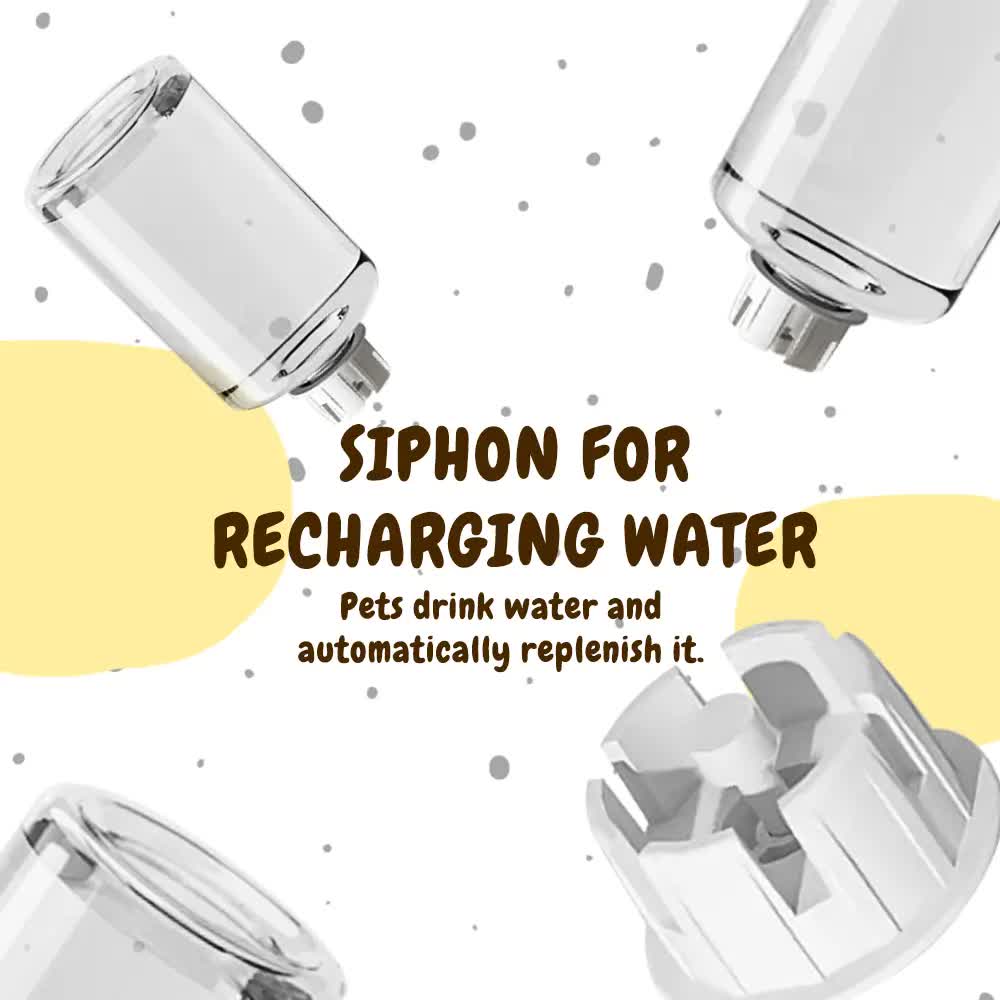 2-in-1 Automatic Pet Feeder