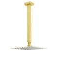 WELS Brushed Gold Square 8" Rain Shower Head 300mm Brass Ceiling Dropper Arm Set
