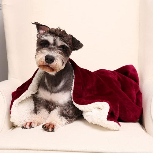 Double-Sided Heated Throw with Detachable Controller – Red