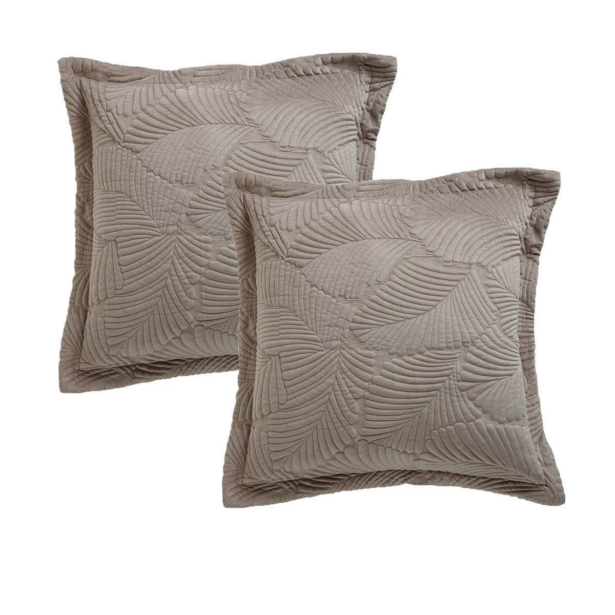 Bianca Kairo Velvet European Pillowcase Pair – Taupe