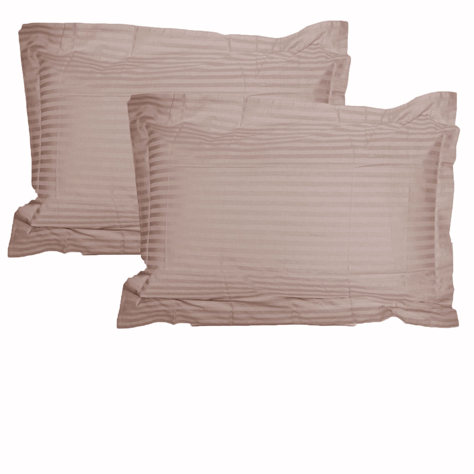 Accessorize 325TC Cotton Jumbo/Queen Pillowcases, 2 Pack – Blush