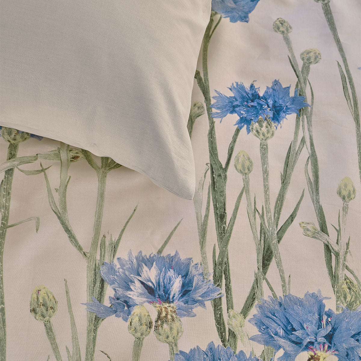 Bedding House Cornflower Queen Quilt Cover Set – Sand