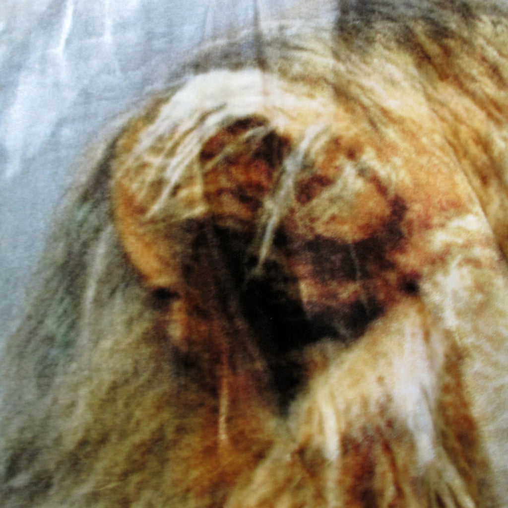 800GSM Reversible Mink-Style Blanket – Lion & Tiger, Queen