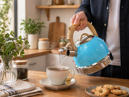 2.9L Stainless Steel Whistling Kettle – Blue