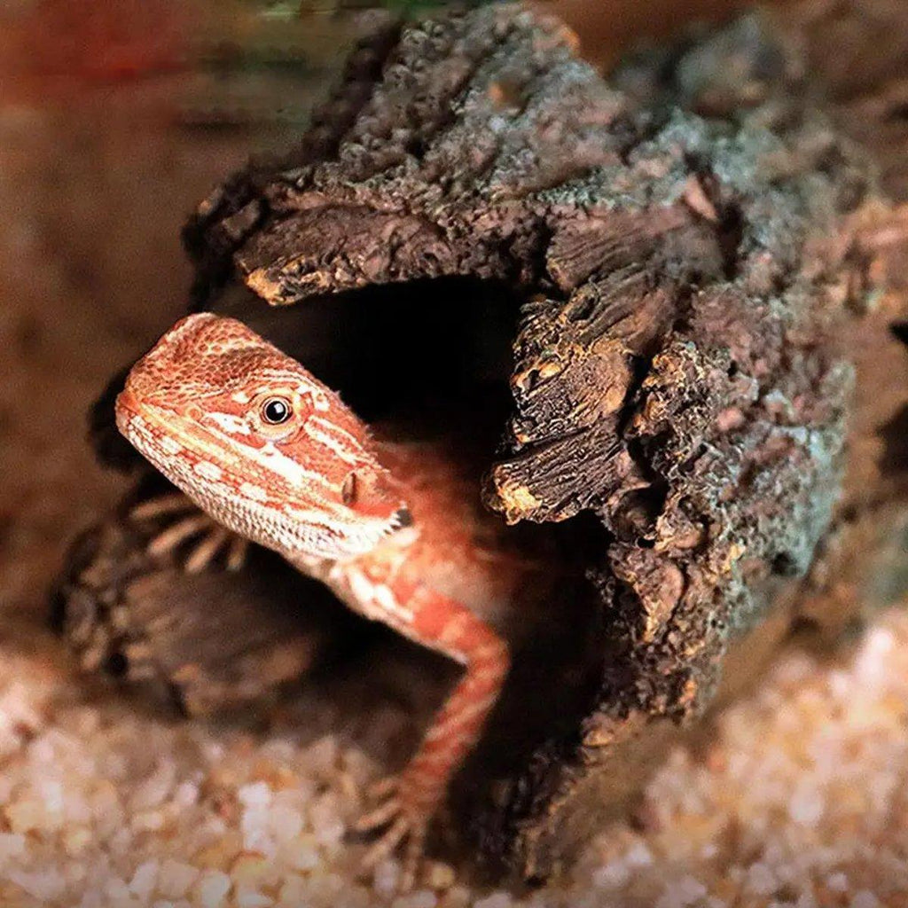 Tree Log Hide Ornament Trunk Tunnel Fish Reptile Tank Resin Aquarium Decoration - Large