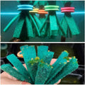 Fish Egg Collector Device Set – 10PCS