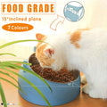 Stainless Steel Tilted Water and Food Feeder