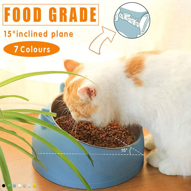 Stainless Steel Tilted Water and Food Feeder