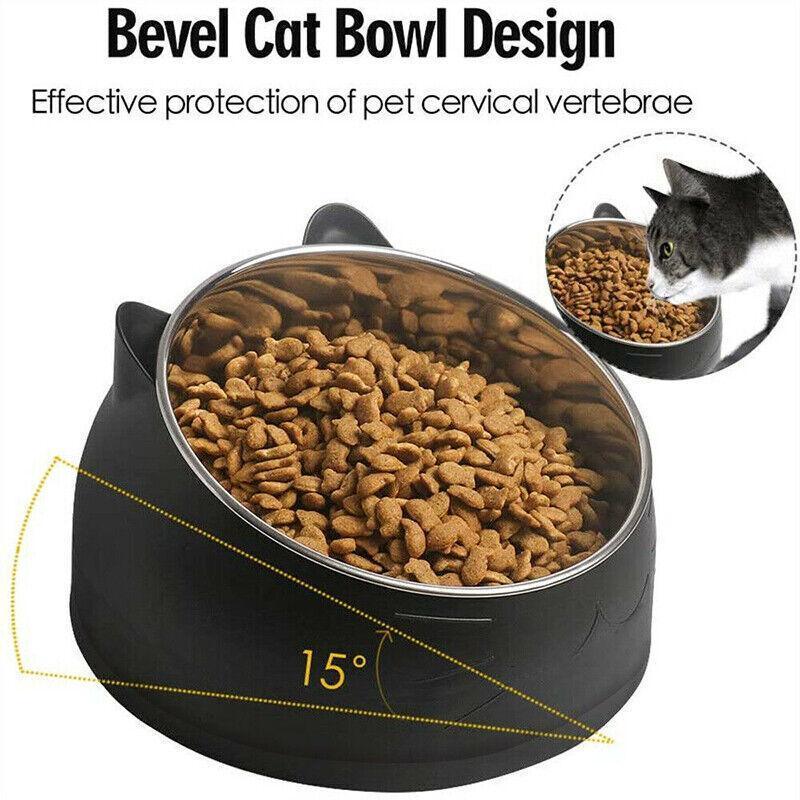 Stainless Steel Tilted Water and Food Feeder