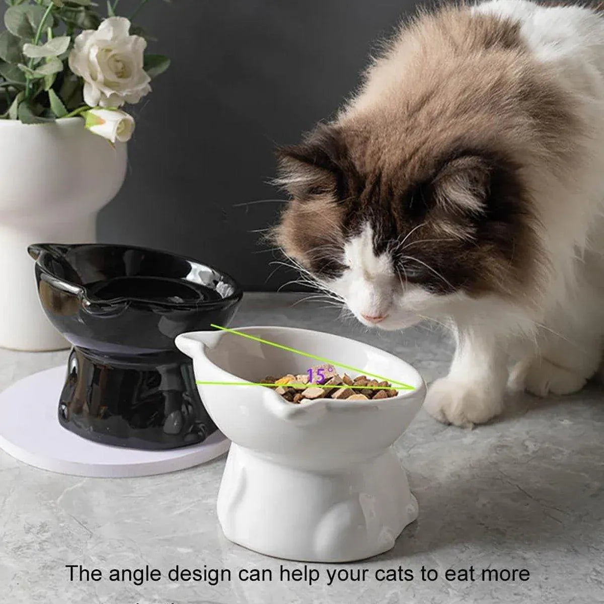 Ceramic Cat Bowl Cute Tall Raised Cat Food Bowl for Pets Eating Comfortably - Green