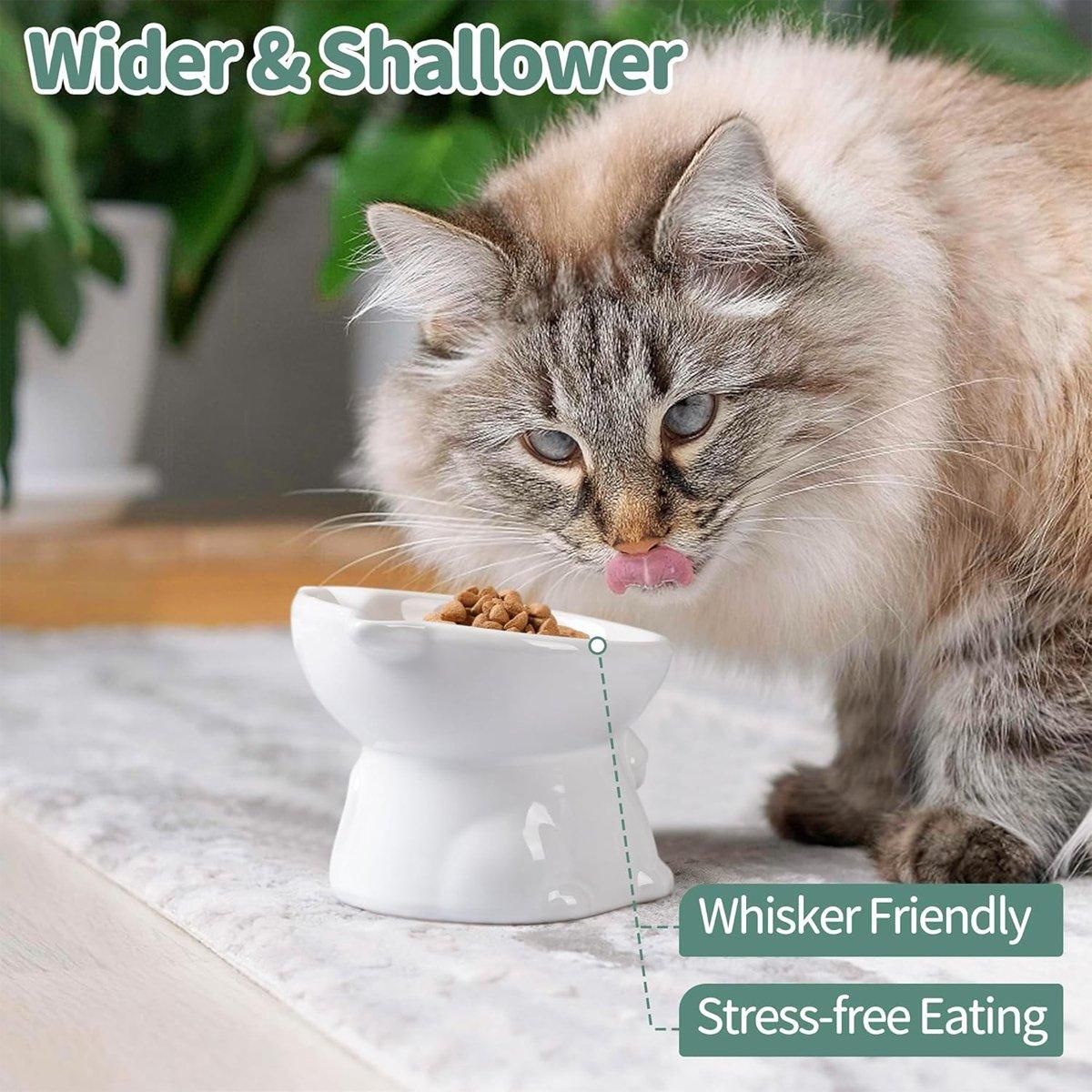 Ceramic Cat Bowl Cute Tall Raised Cat Food Bowl for Pets Eating Comfortably - White
