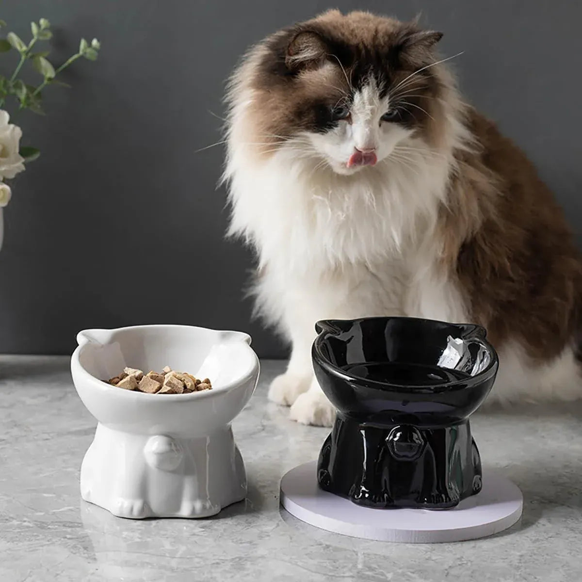 Ceramic Cat Bowl Cute Tall Raised Cat Food Bowl for Pets Eating Comfortably - White