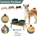 Ceramic Elevated Dog Bowl