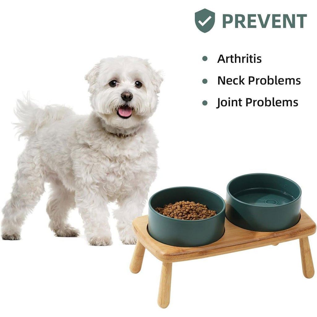 Ceramic Elevated Dog Bowl