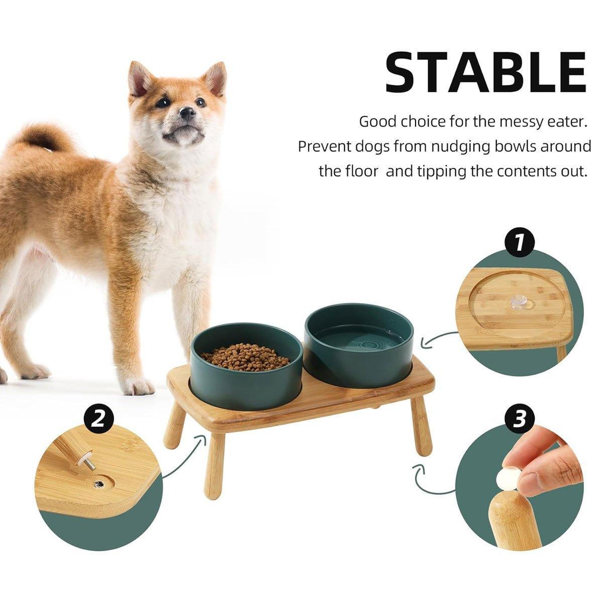 Ceramic Elevated Dog Bowl