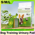 Dog Training Pads — Large (15 Pack)