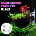 Glass Aquarium Plant Cup for Breeding & Aquascaping – Clear