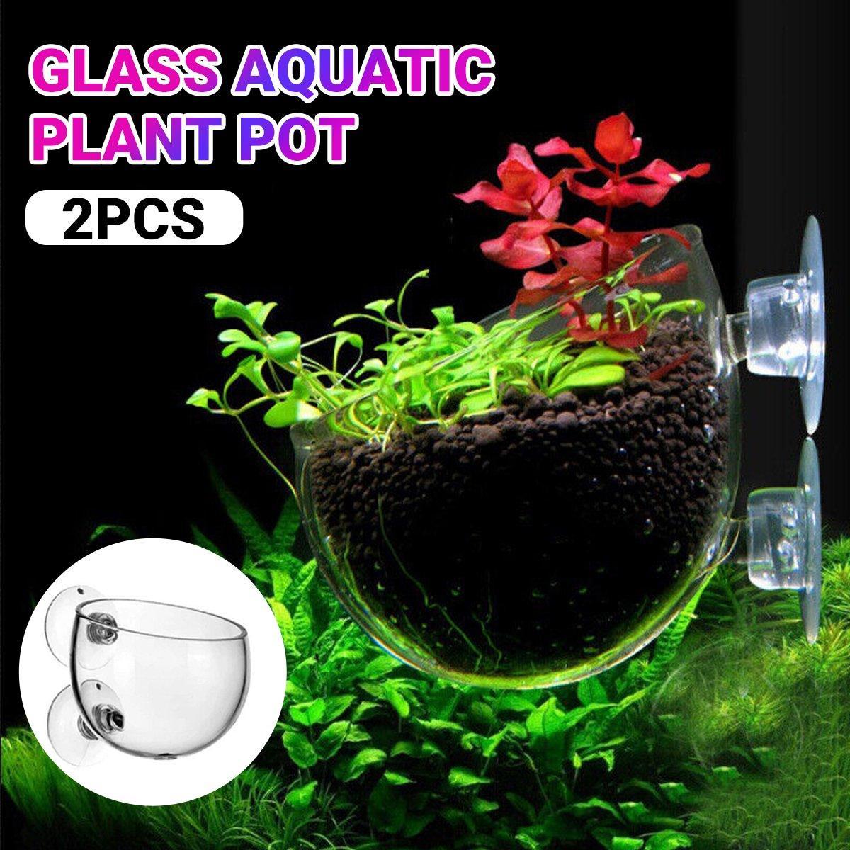 Glass Aquarium Plant Cup for Breeding & Aquascaping – Clear