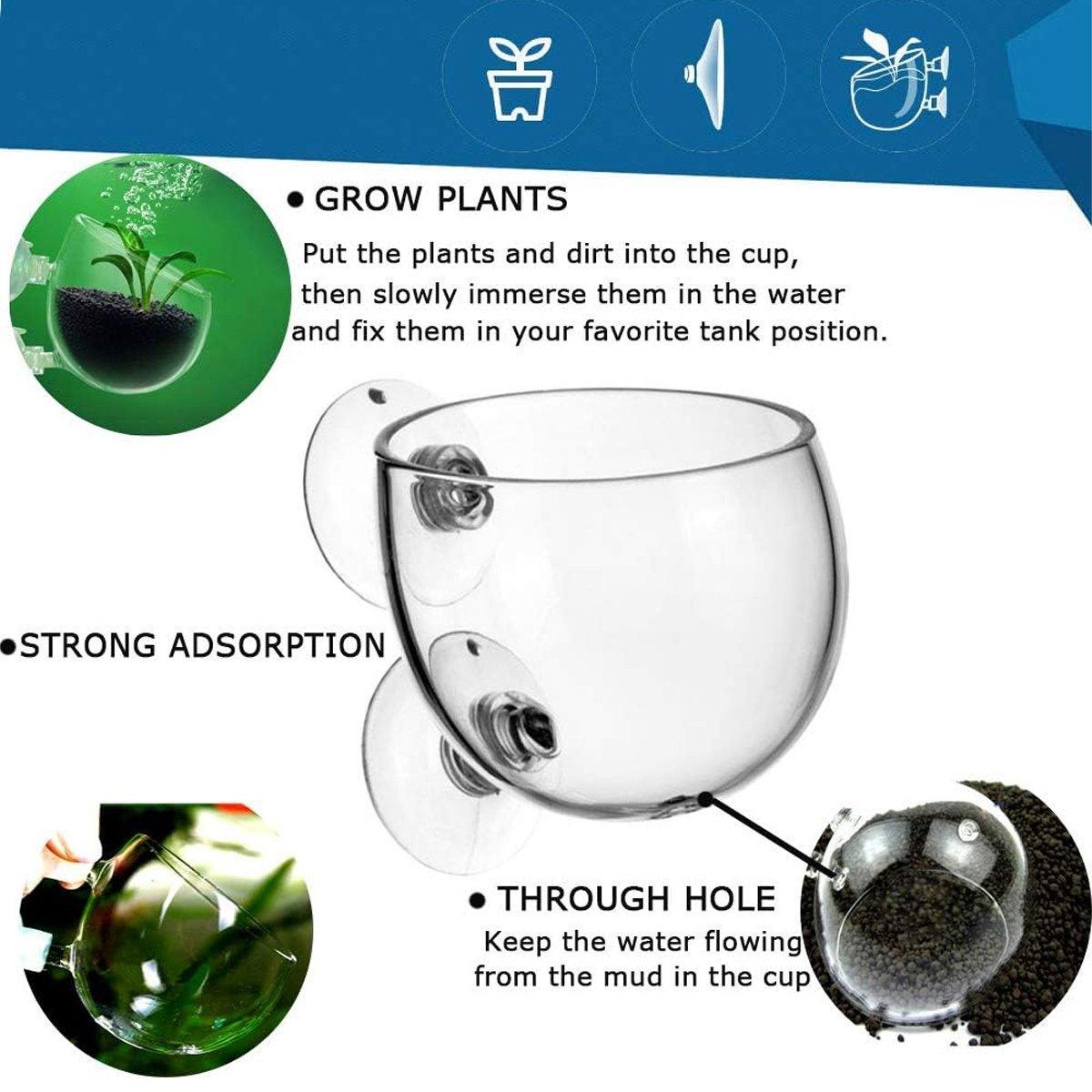 Glass Aquarium Plant Cup for Breeding & Aquascaping – Clear