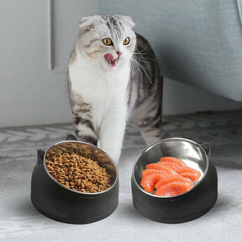 Stainless Steel Tilted Water and Food Feeder