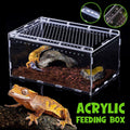 Clear Pet Box Slide Lid Reptile Breeding Habitat – Transparent Acrylic Terrarium