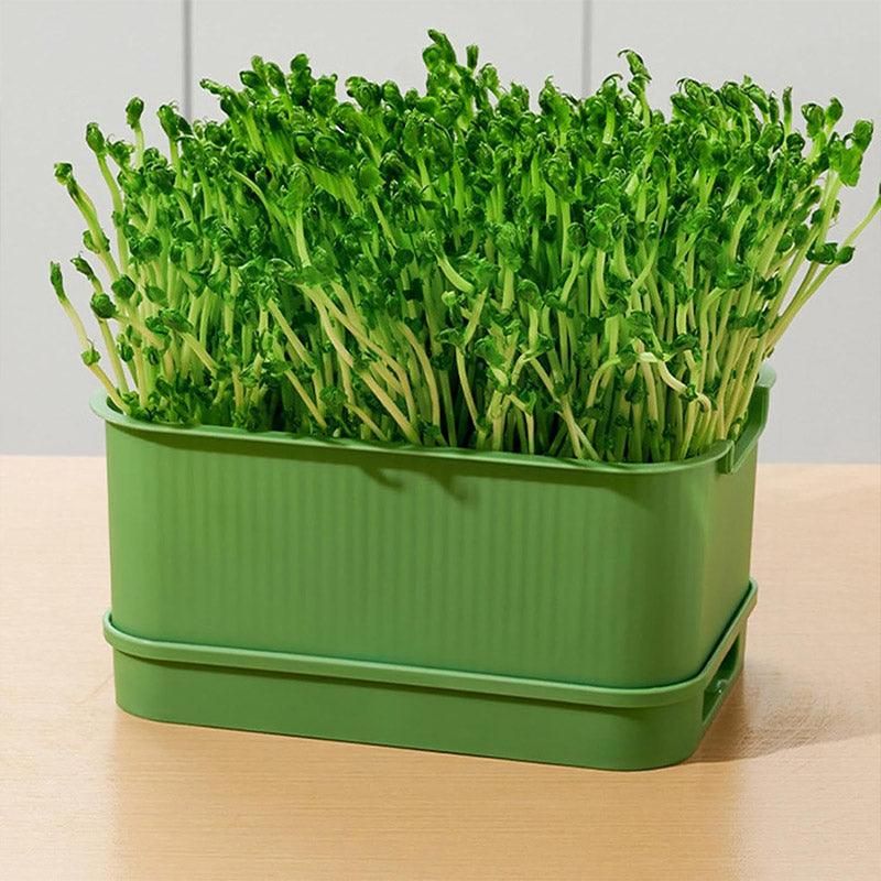 Seedling Tray Sprout Tray Soilless Hydroponic Planting Pot for Indoor Gardening - Green
