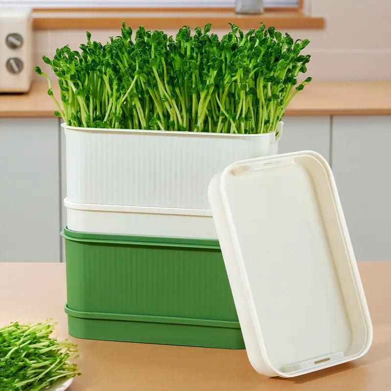 Seedling Tray Sprout Tray Soilless Hydroponic Planting Pot for Indoor Gardening - Green