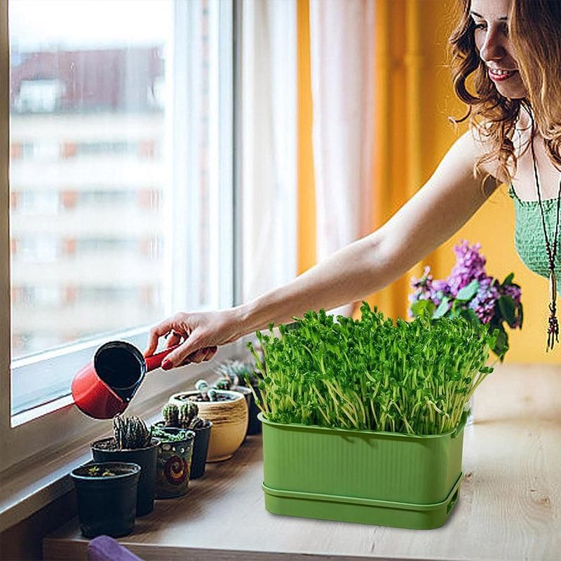 Seedling Tray Sprout Tray Soilless Hydroponic Planting Pot for Indoor Gardening - Green