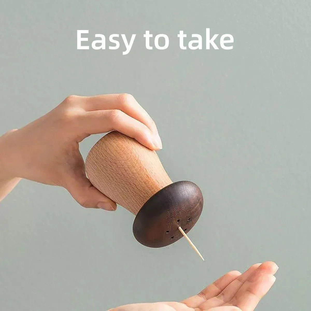 Wooden Mushroom Toothpick Holder