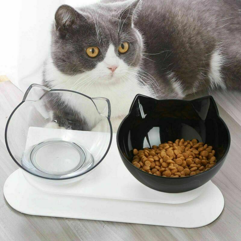 Elevated Double Pet Bowl — Clear
