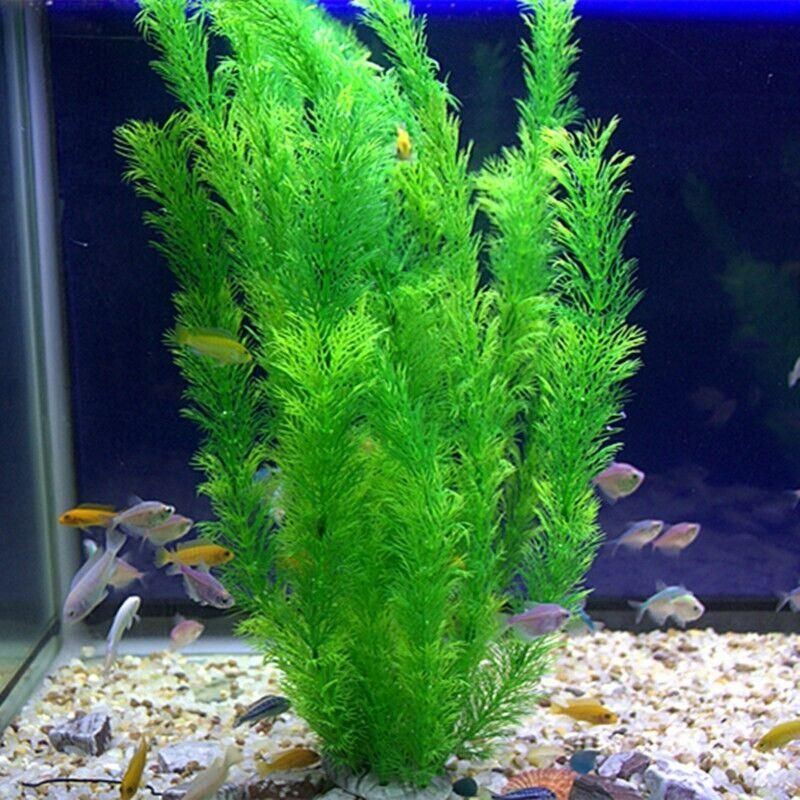 30cm Artificial Aquarium Plant – Lifelike Green Foliage for Fish Tanks