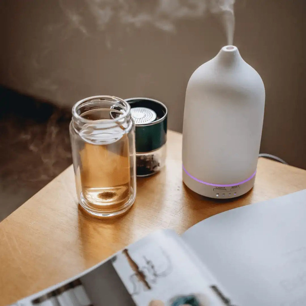 Double-Wall Glass Tea Infuser Bottle