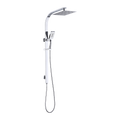 WELS 10" Rain Shower Head Set Square Dual Heads High Pressure with Handheld in Chrome