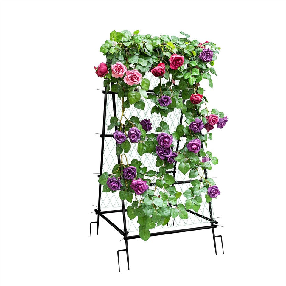 FIN Metal Garden Trellis Arch Climbing Plants Grow Support Frame with Ground Spikes