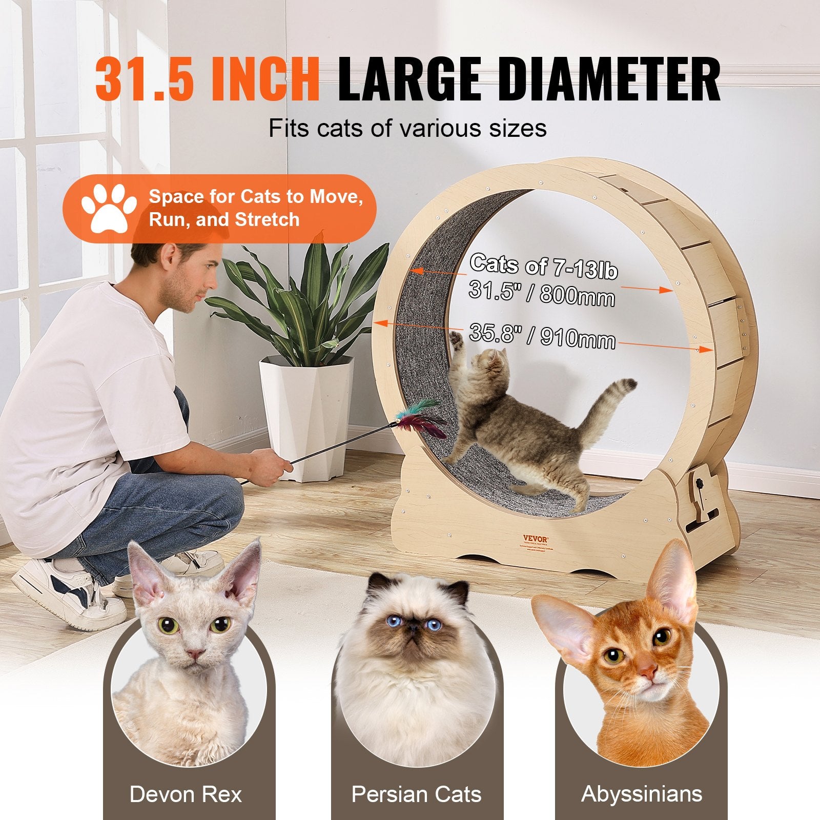 Cat Exercise Wheel