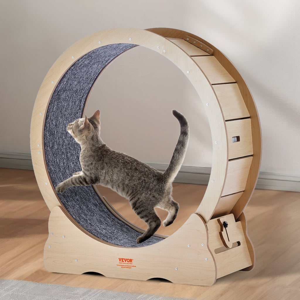 Cat Exercise Wheel